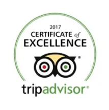 trip advisor