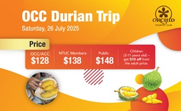 durian-trip-website