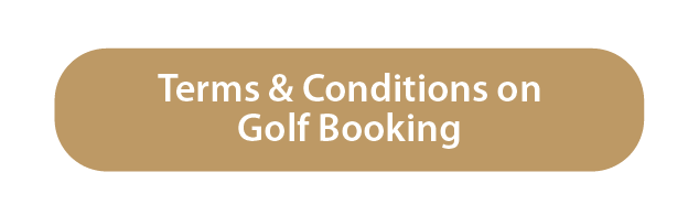 T&C Button